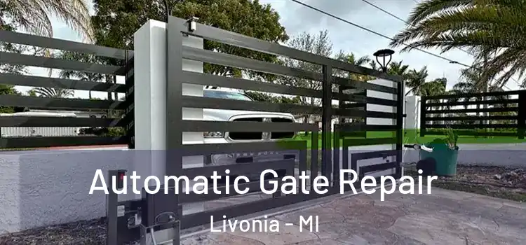 Automatic Gate Repair Livonia - MI