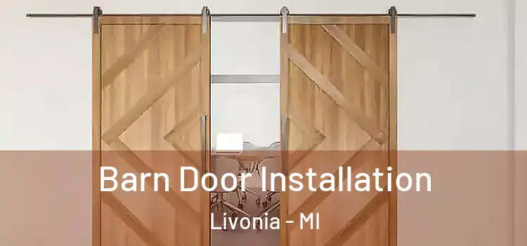 Barn Door Installation Livonia - MI