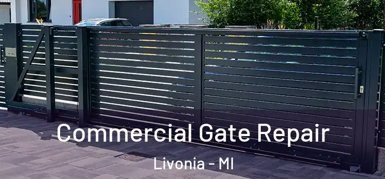  Commercial Gate Repair Livonia - MI