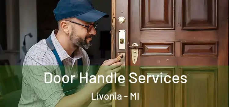 Door Handle Services Livonia - MI