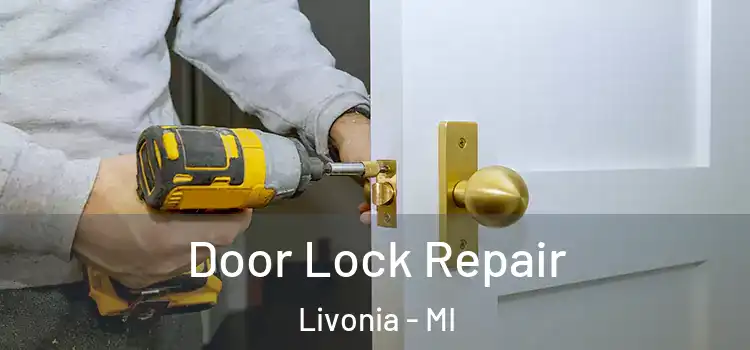  Door Lock Repair Livonia - MI