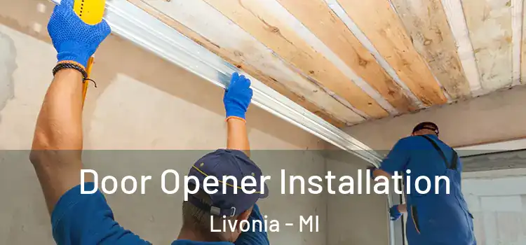 Door Opener Installation Livonia - MI