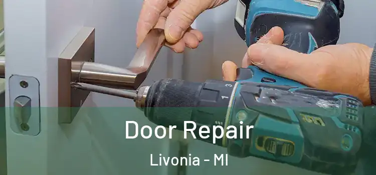  Door Repair Livonia - MI