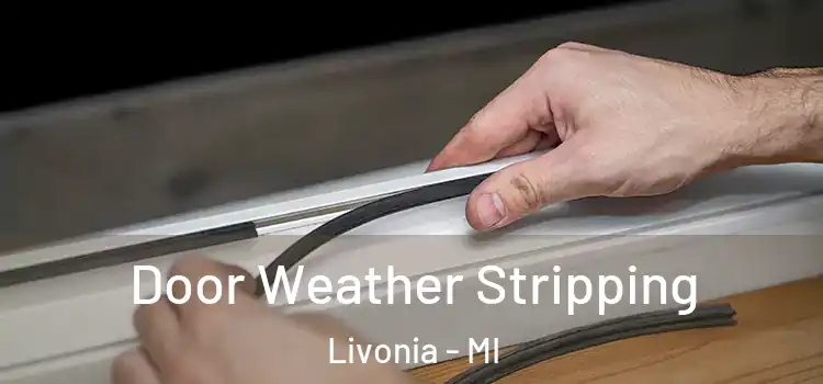 Door Weather Stripping Livonia - MI