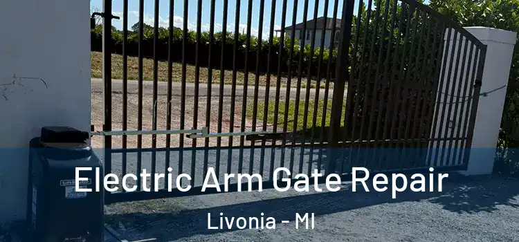 Electric Arm Gate Repair Livonia - MI