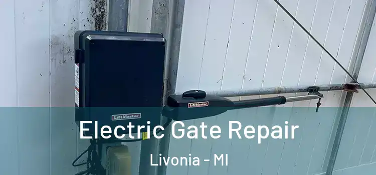  Electric Gate Repair Livonia - MI