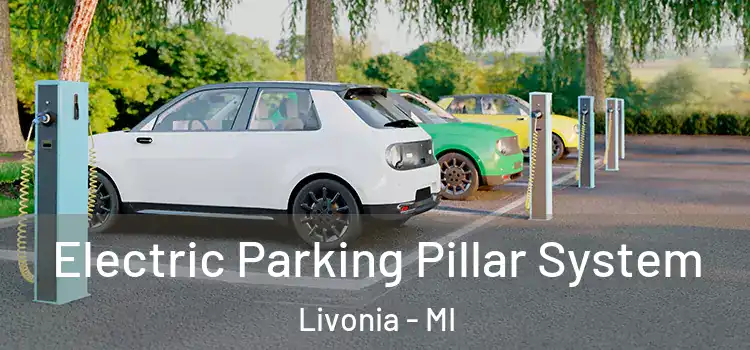  Electric Parking Pillar System Livonia - MI
