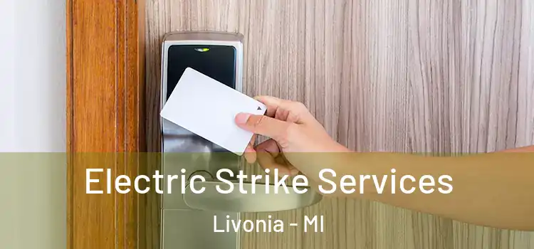 Electric Strike Services Livonia - MI