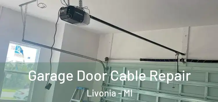  Garage Door Cable Repair Livonia - MI