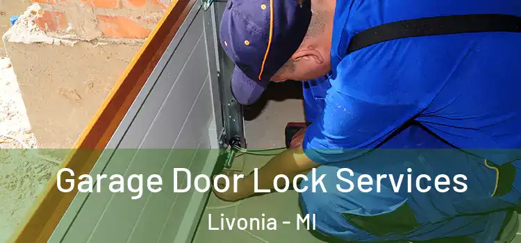 Garage Door Lock Services Livonia - MI
