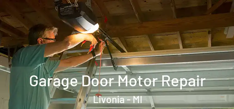  Garage Door Motor Repair Livonia - MI
