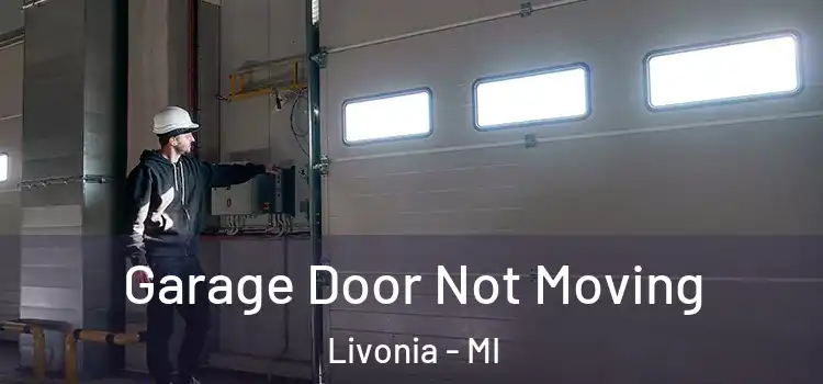  Garage Door Not Moving Livonia - MI