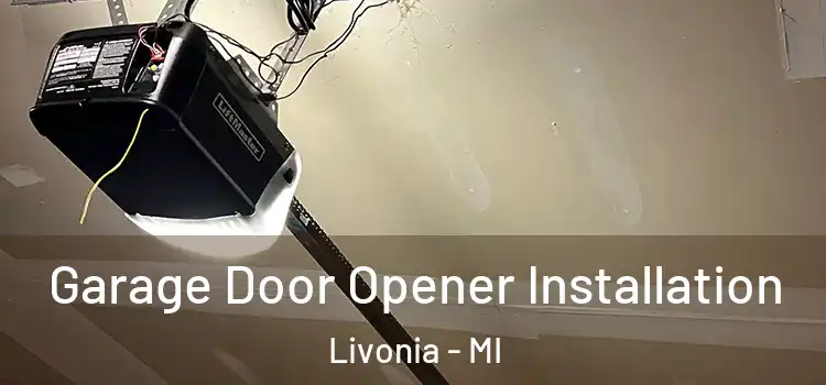  Garage Door Opener Installation Livonia - MI