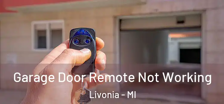 Garage Door Remote Not Working Livonia - MI