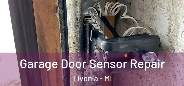  Garage Door Sensor Repair Livonia - MI