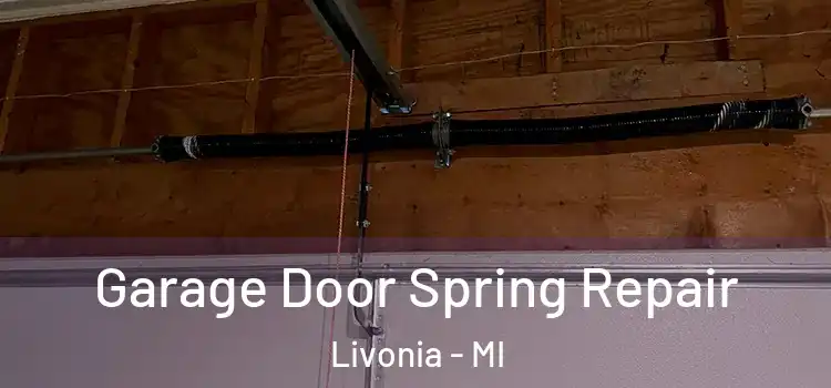  Garage Door Spring Repair Livonia - MI