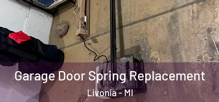  Garage Door Spring Replacement Livonia - MI