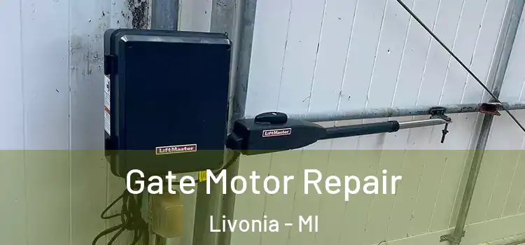 Gate Motor Repair Livonia - MI