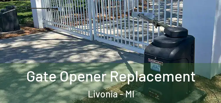 Gate Opener Replacement Livonia - MI