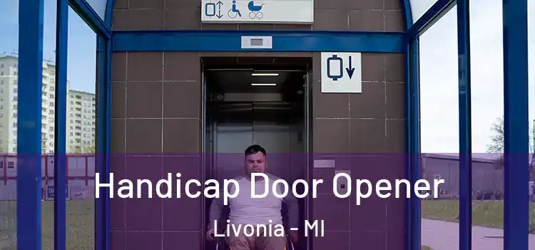 Handicap Door Opener Livonia - MI