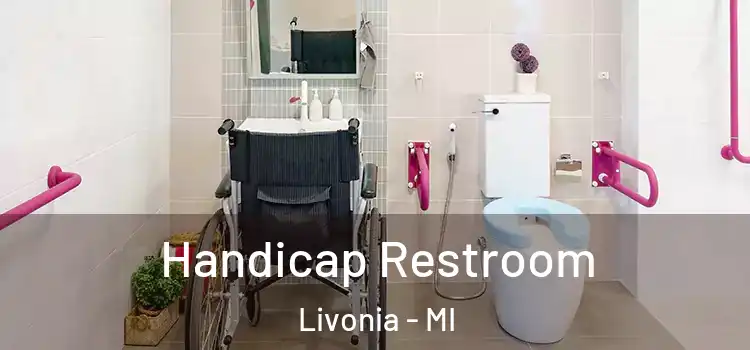 Handicap Restroom Livonia - MI