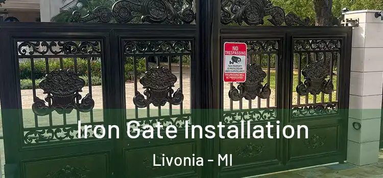  Iron Gate Installation Livonia - MI