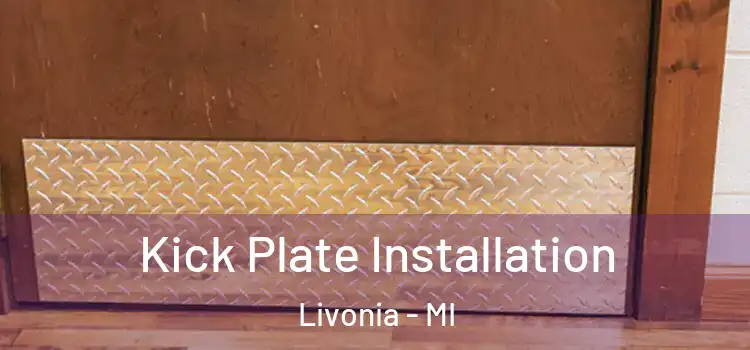  Kick Plate Installation Livonia - MI