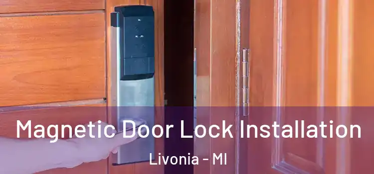  Magnetic Door Lock Installation Livonia - MI