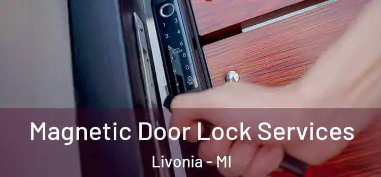 Magnetic Door Lock Services Livonia - MI