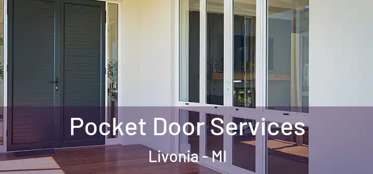 Pocket Door Services Livonia - MI