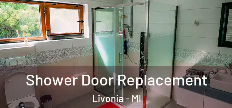Shower Door Replacement Livonia - MI