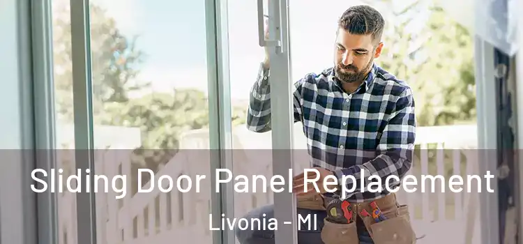  Sliding Door Panel Replacement Livonia - MI