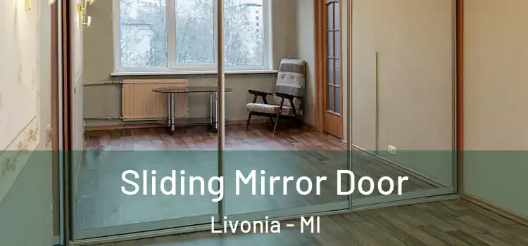  Sliding Mirror Door Livonia - MI