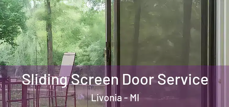 Sliding Screen Door Service Livonia - MI