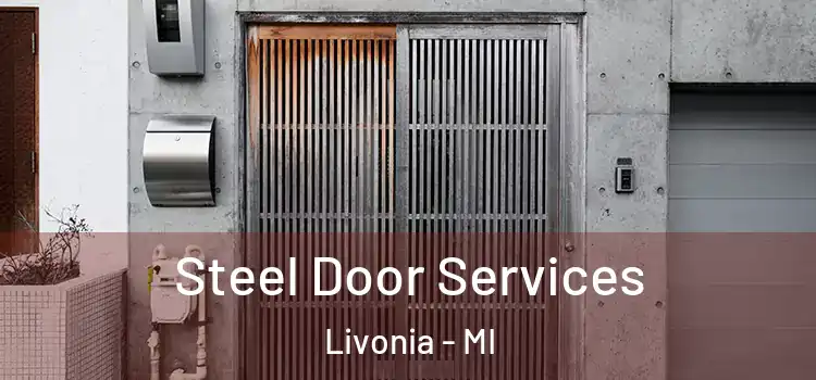 Steel Door Services Livonia - MI