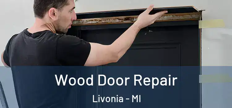  Wood Door Repair Livonia - MI