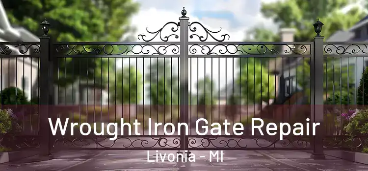  Wrought Iron Gate Repair Livonia - MI